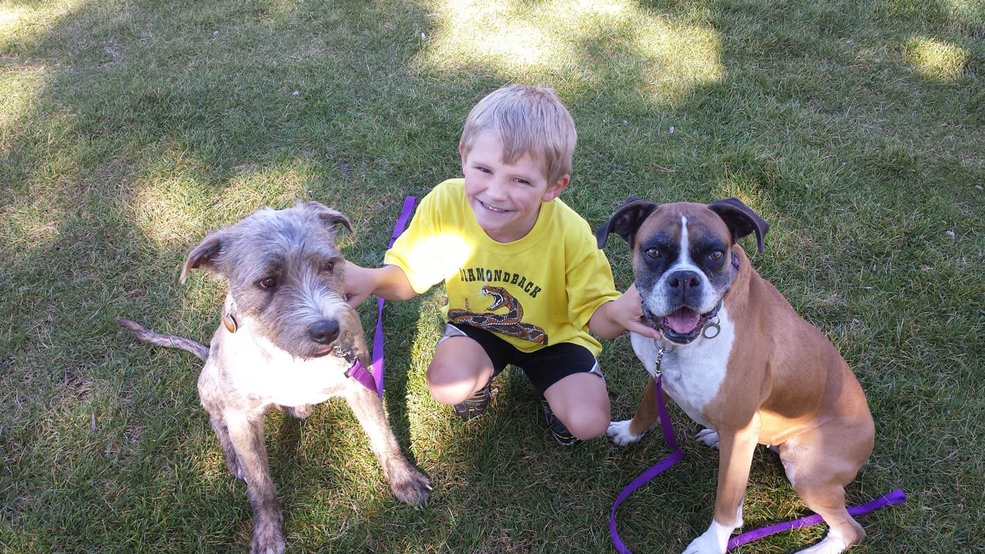 JD Woofter's son with their two family dogs